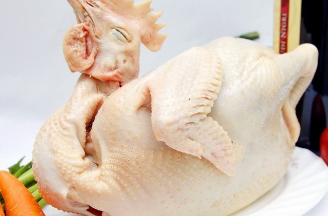 Nên chọn gà trống tơ có mào đỏ, da màu vàng nhạt tự nhiên Nên chọn gà trống tơ có mào đỏ, da màu vàng nhạt tự nhiên