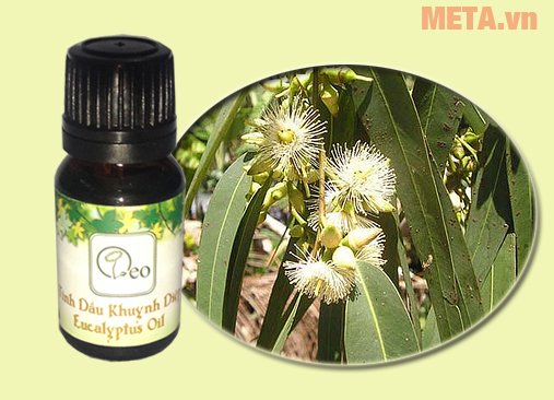 Sau khi bé bị muỗi đốt trong vòng 5 phút, mẹ có thể bôi dầu khuynh diệp