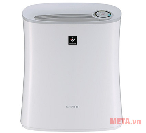 Cách đuổi gián khỏi nhà mà không cần dùng hóa chất