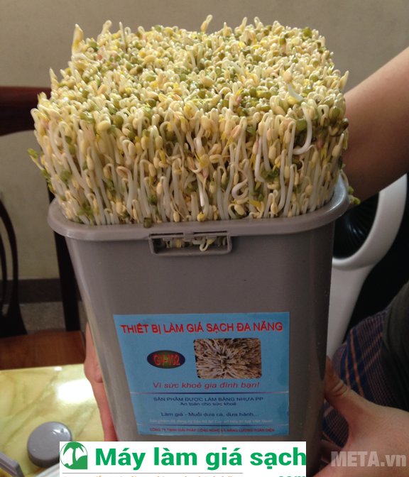 Máy làm giá đỗ GV-102 có thể làm được 2.5kg giá đỗ thành phẩm cho 1 mẻ làm 