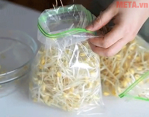 Hình ảnh bảo quản giá đỗ bằng túi kéo