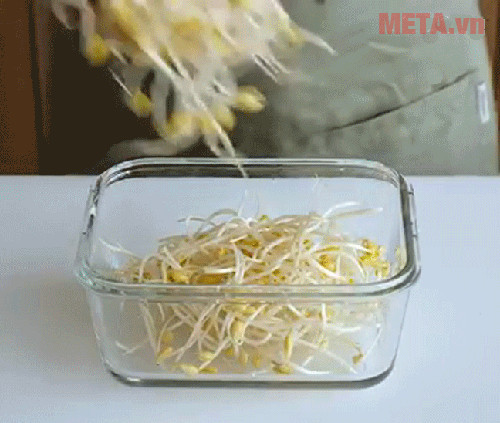 Hình ảnh bảo quản giá đỗ bằng nước