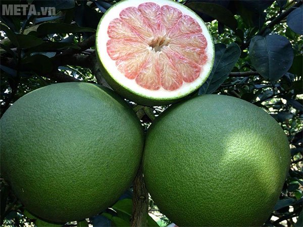 Nên chọn bưởi da xanh có cân nặng từ 1kg trở lên, cầm nặng tay, da căng