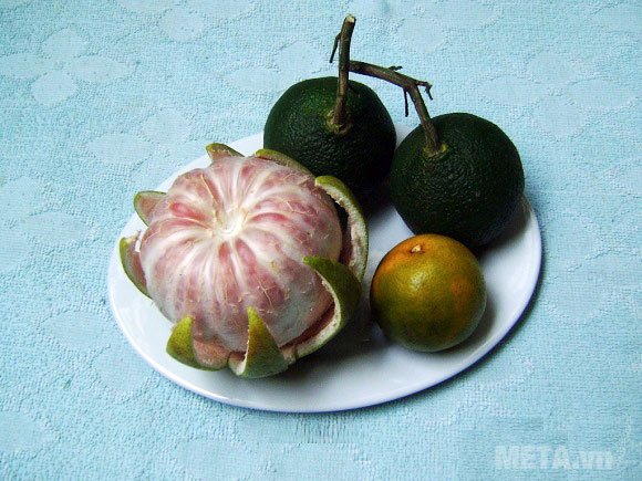 Nguyên liệu cần có để làm chó bông bằng bưởi Nguyên liệu cần có để làm chó bông bằng bưởi