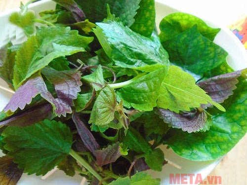 Rửa sạch rau tía tô 