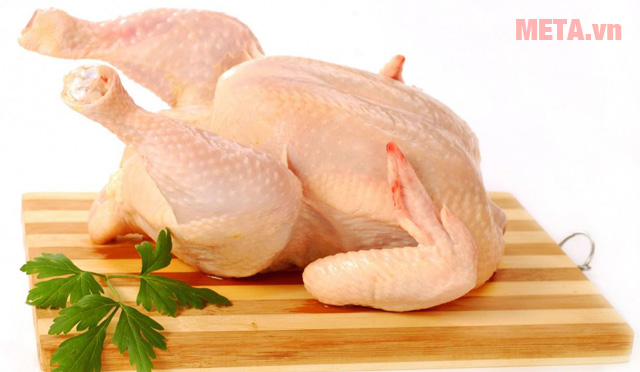 Gà ta khi đã làm sạch lông có thịt săn chắc, ức nhỏ, da mỏng