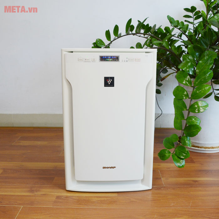 Cách đuổi gián khỏi nhà mà không cần dùng hóa chất