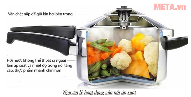 Nguyên lý hoạt động