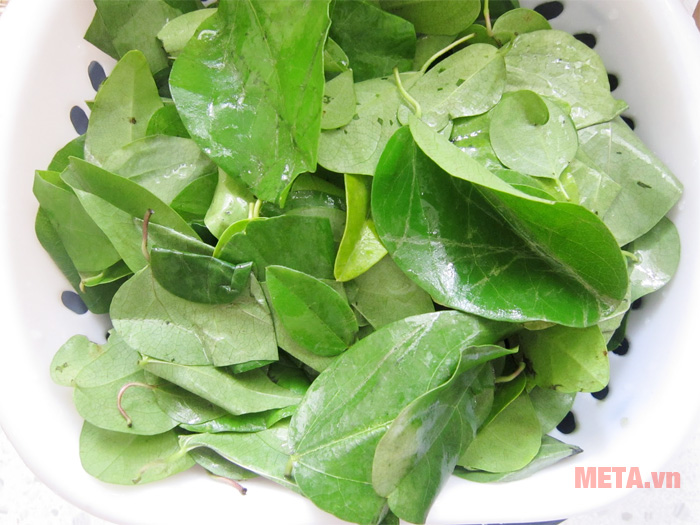Rửa thật sạch lá sương sâm
