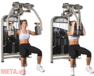 Máy tập ngực, tay sau