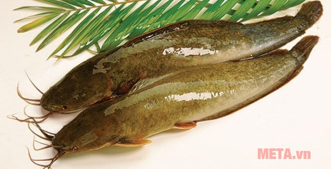 Chuẩn bị cá trê để nướng bằng lò vi sóng Chuẩn bị cá trê để nướng bằng lò vi sóng