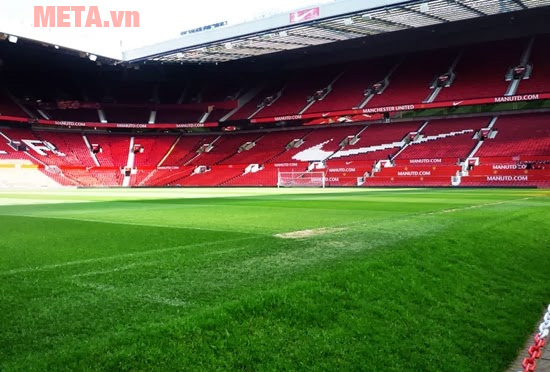 Chọn giày phù hợp với bề mặt sân