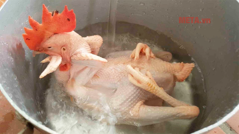 Cách luộc gà cánh tiên siêu chuẩn cho đêm giao thừa Trong khi luộc gà