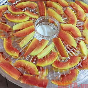 Cho đu đủ vào máy sấy Cho đu đủ vào máy sấy