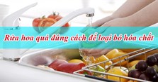 Cách rửa hoa quả sạch đúng cách và những sai lầm cần tránh