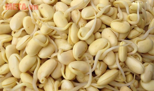 Mầm đậu nành có thể giúp bạn bổ sung nội tiết tố nữ