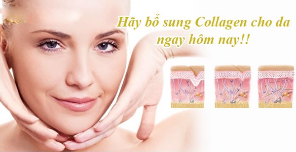 collagen collagen