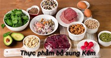 Các thực phẩm bổ sung kẽm tốt cho cơ thể bạn