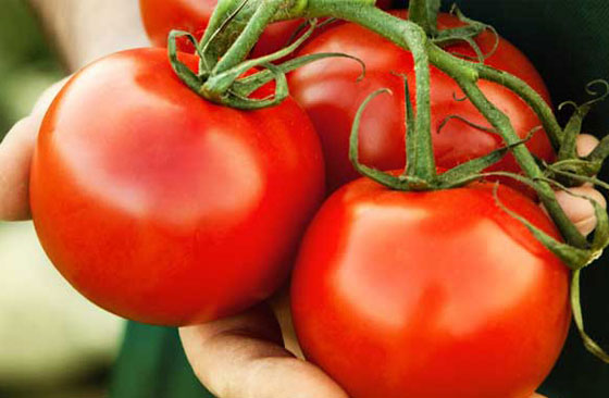 Top thực phẩm tăng chất nhờn giúp khớp hoạt động tốt hơn Top thực phẩm tăng chất nhờn giúp khớp hoạt động tốt hơn