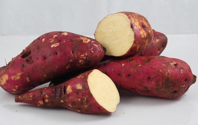 Mẹo luộc khoai bằng lò vi sóng nhanh không cần nước Mẹo luộc khoai bằng lò vi sóng nhanh không cần nước