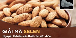 Selen là chất gì? Những tác dụng của Selen với cơ thể