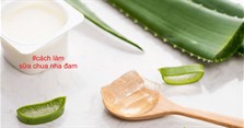 Cách làm sữa chua nha đam đơn giản ngay tại nhà