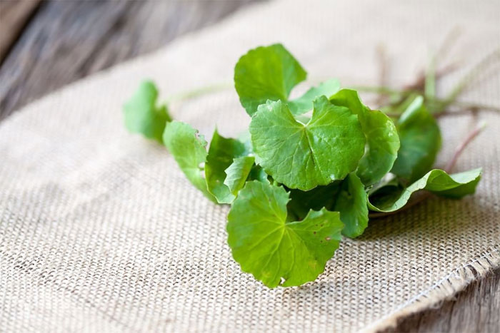 Đồ uống giải độc gan Đồ uống giải độc gan