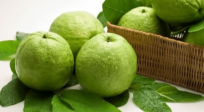 nước ép ổi có tác dụng gì