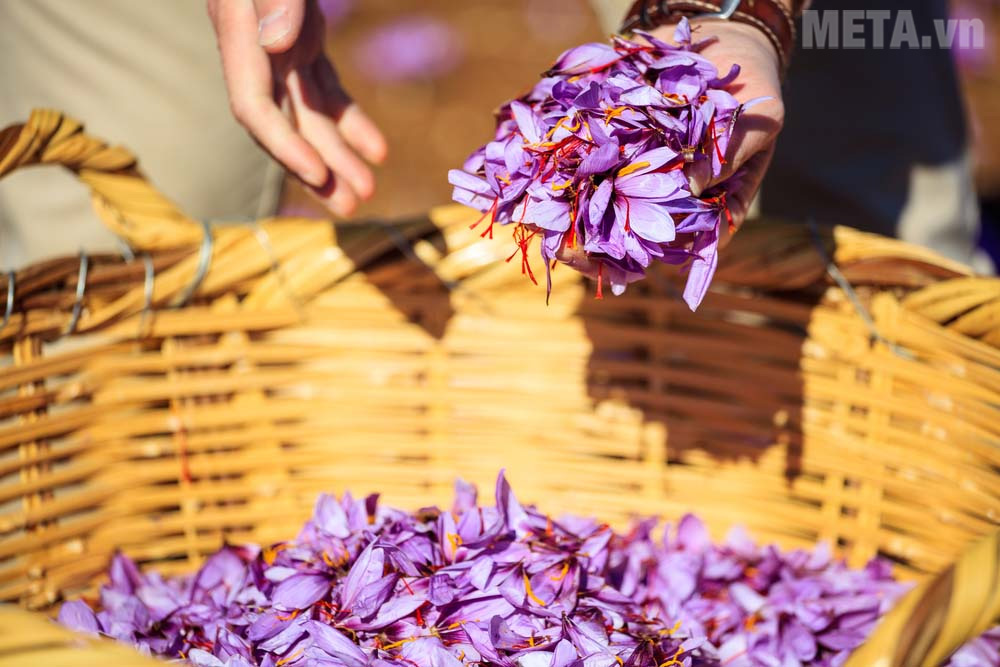 Nhụy hoa nghệ tây được mệnh danh là thần dược làm đẹp Công dụng làm đẹp của nhụy hoa nghệ tây