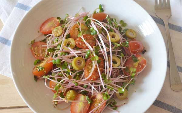 Món ngon từ rau mầm