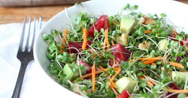 Cách chế biến rau mầm