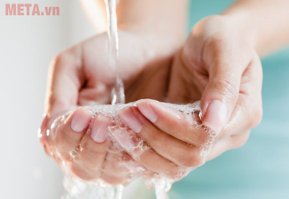 Luôn giữ gìn đôi tay sạch sẽ Tại sao nhìn những vật màu xanh lại có lợi cho mắt