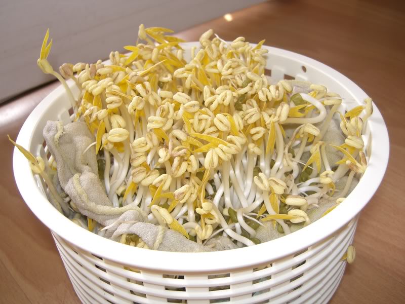 giá đỗ sạch giá đỗ sạch