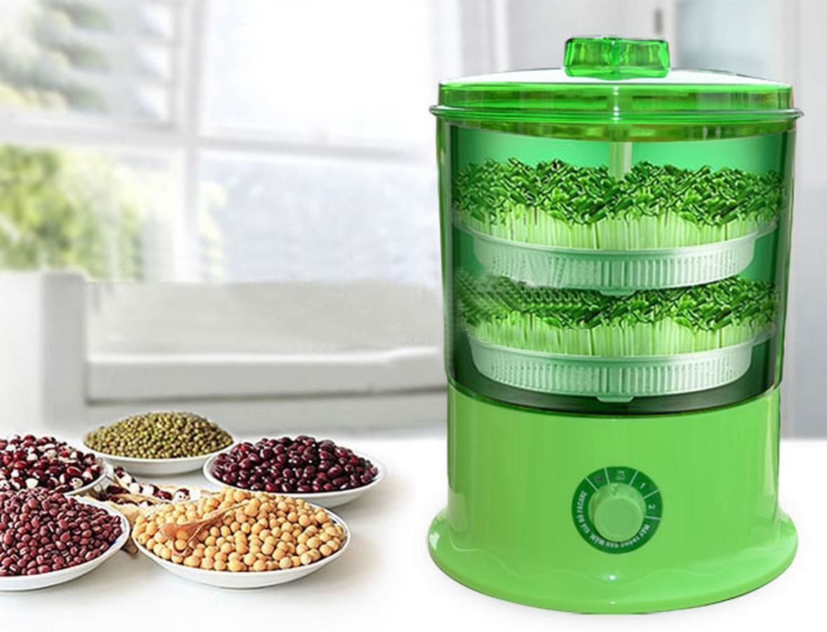 giá đỗ sạch giá đỗ sạch