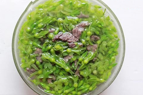 Canh hoa thiên lý nấu thịt bò Canh hoa thiên lý nấu thịt bò