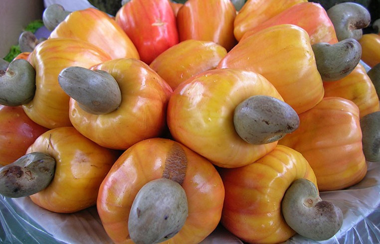 mẹo bảo quản hạt điều