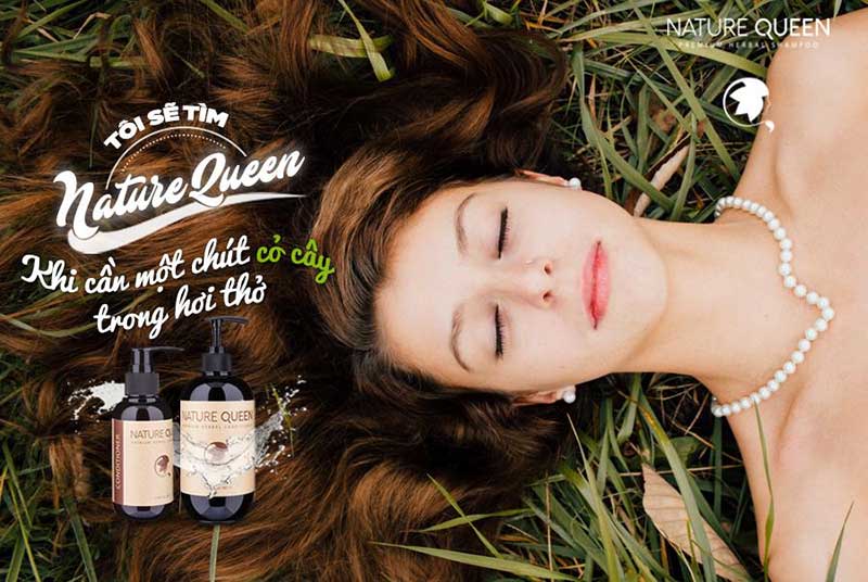 Dầu gội thảo dược giúp bảo vệ và phục hồi tóc Dầu gội thảo dược giúp bảo vệ và phục hồi tóc