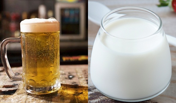 Tóc hết khô xơ với bia và sữa tươi Tóc hết khô xơ với bia và sữa tươi