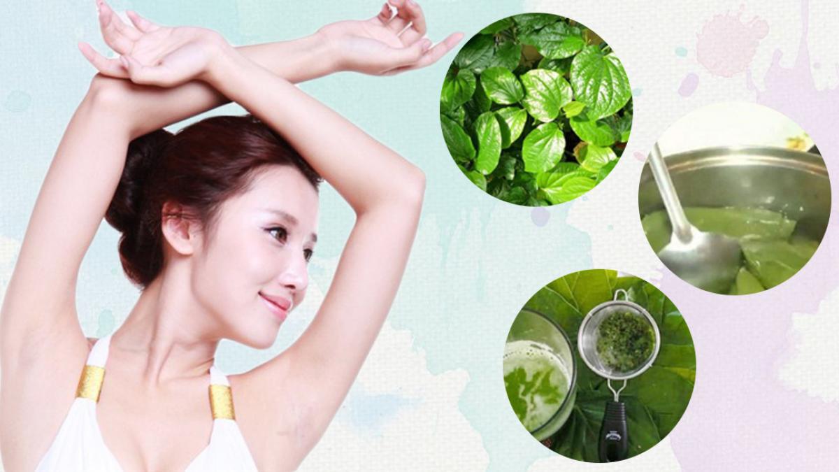 Triệt lông vĩnh viễn bằng lá trầu không