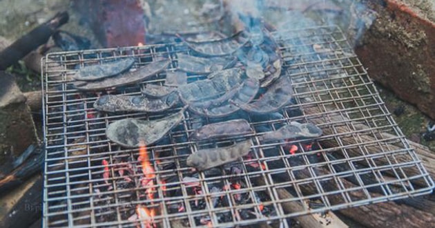 Thực hư chuyện đốt bồ kết có thể diệt được virus Corona? Thực hư chuyện đốt bồ kết có thể diệt được virus Corona?