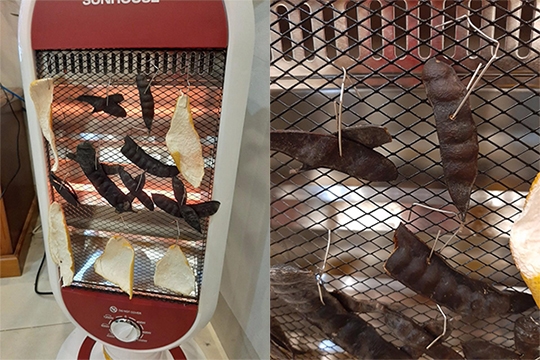 Đốt bồ kết bằng đèn sưởi