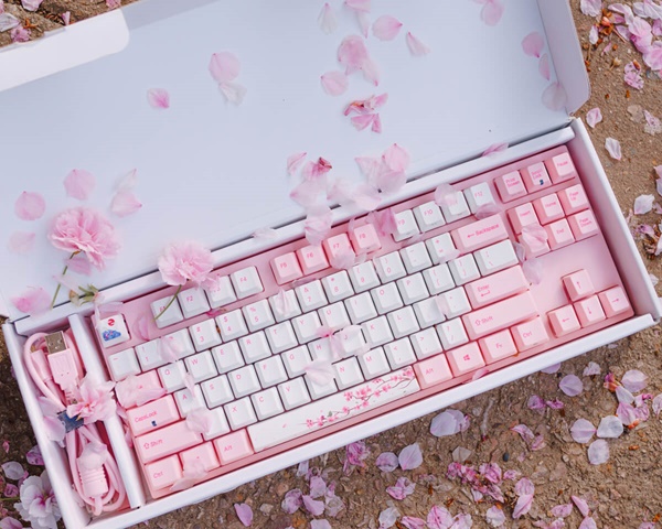 Bộ chuột bàn phím phục vụ chơi game, làm việc