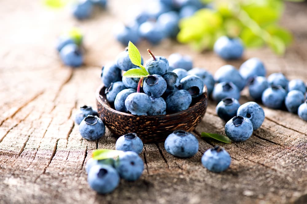 Flavonoid thường có nhiều trong việt quất Flavonoid thường có nhiều trong việt quất