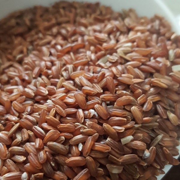 Gạo lứt đỏ Gạo lứt đỏ
