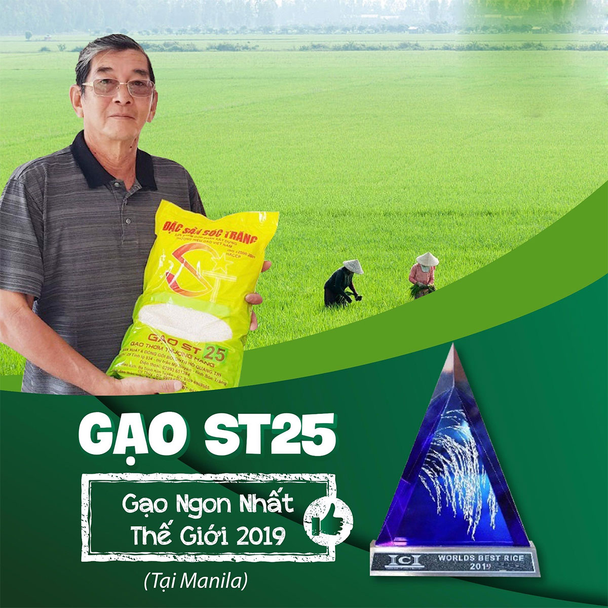 Gạo ST25 ngon nhất thế giới Gạo ST25 ngon nhất thế giới