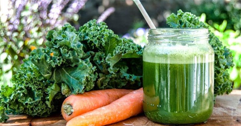 Cải kale là cải gì? 16 Tác dụng của cải xoăn kale với sức khỏe và sắc đẹp
