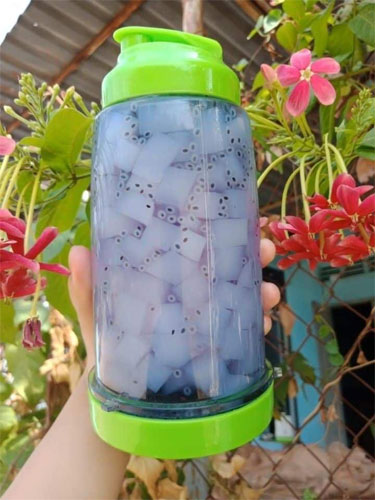 Thạch dừa thô ngon Thạch dừa thô ngon