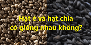 Hạt é và hạt chia có giống nhau không? Có phải là một loại không?