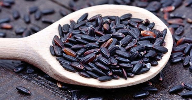 Cách nấu cơm rượu nếp cẩm Cách nấu cơm rượu nếp cẩm