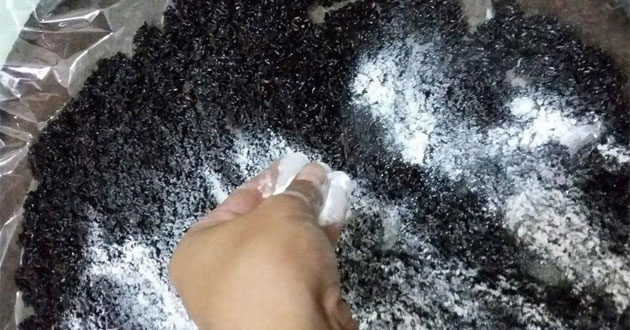 Cơm rượu nếp cẩm Cơm rượu nếp cẩm